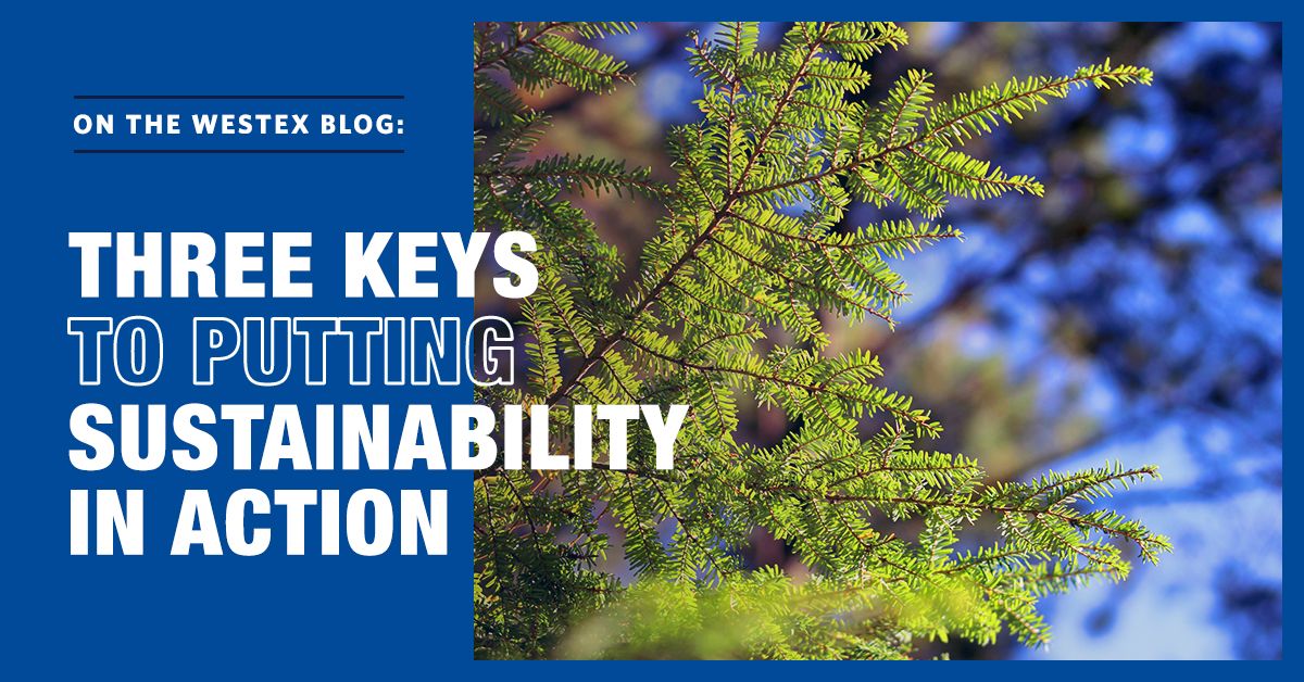 three keys to putting sustainability in practice: webinar recap