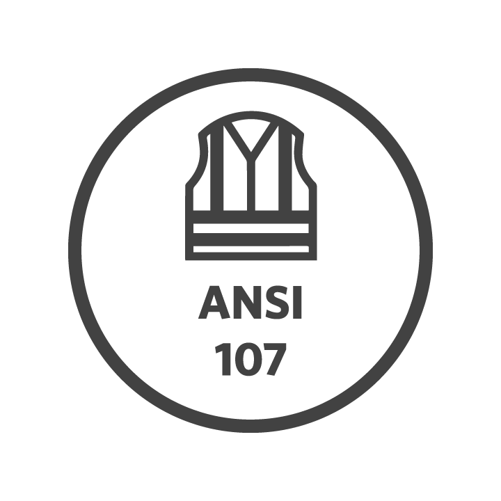 ansi 107